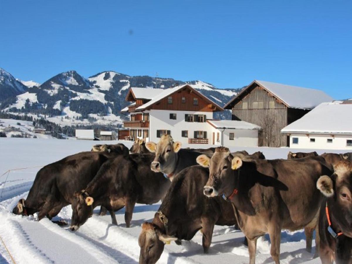 Hemerhof - Ferienwohnungen Oberstdorf Exterior photo