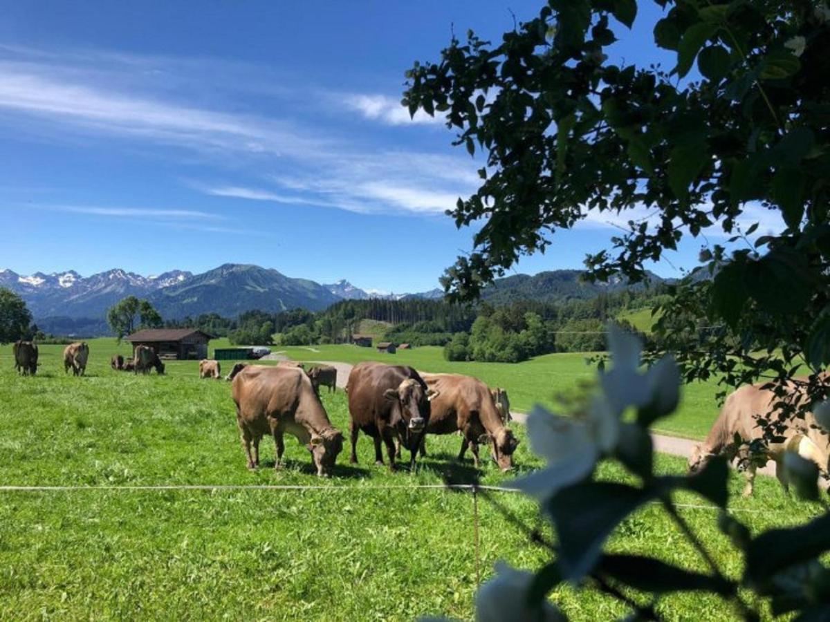 Hemerhof - Ferienwohnungen Oberstdorf Exterior photo