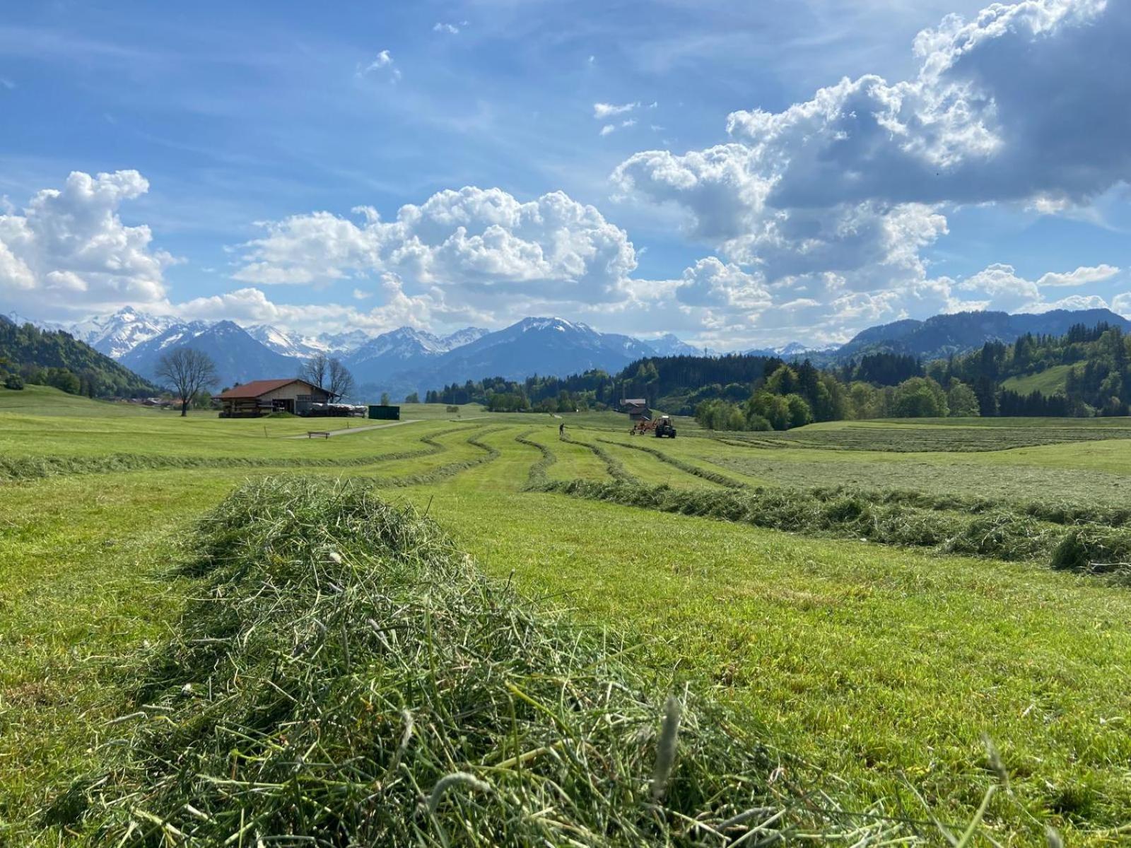 Hemerhof - Ferienwohnungen Oberstdorf Exterior photo