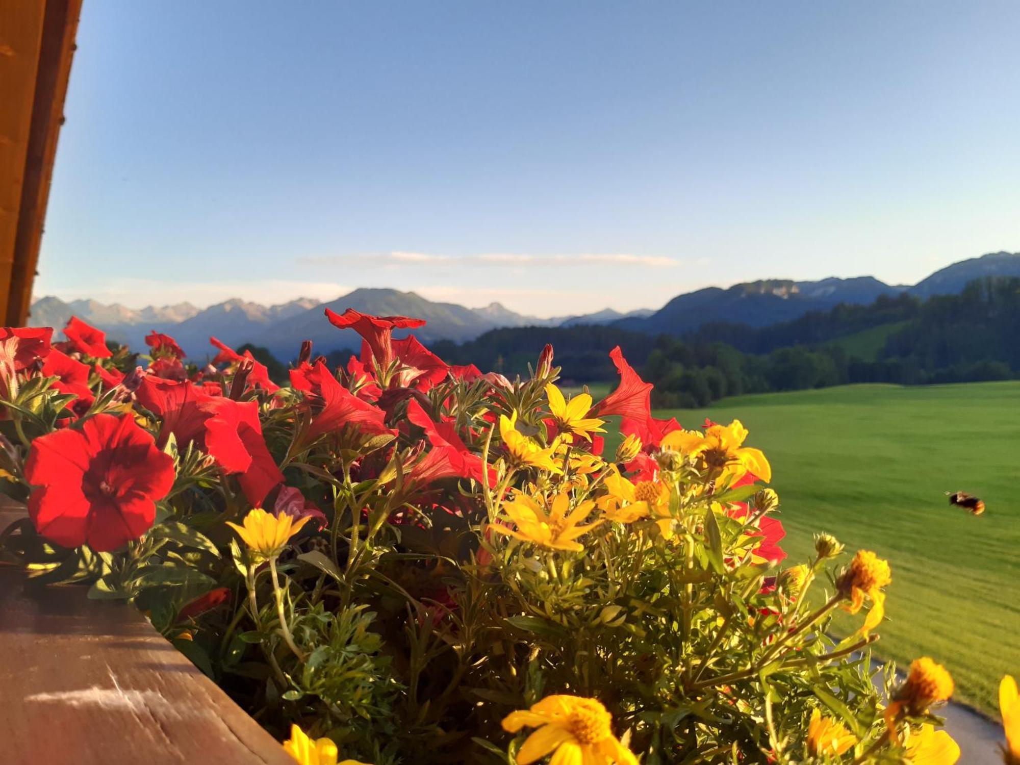 Hemerhof - Ferienwohnungen Oberstdorf Exterior photo