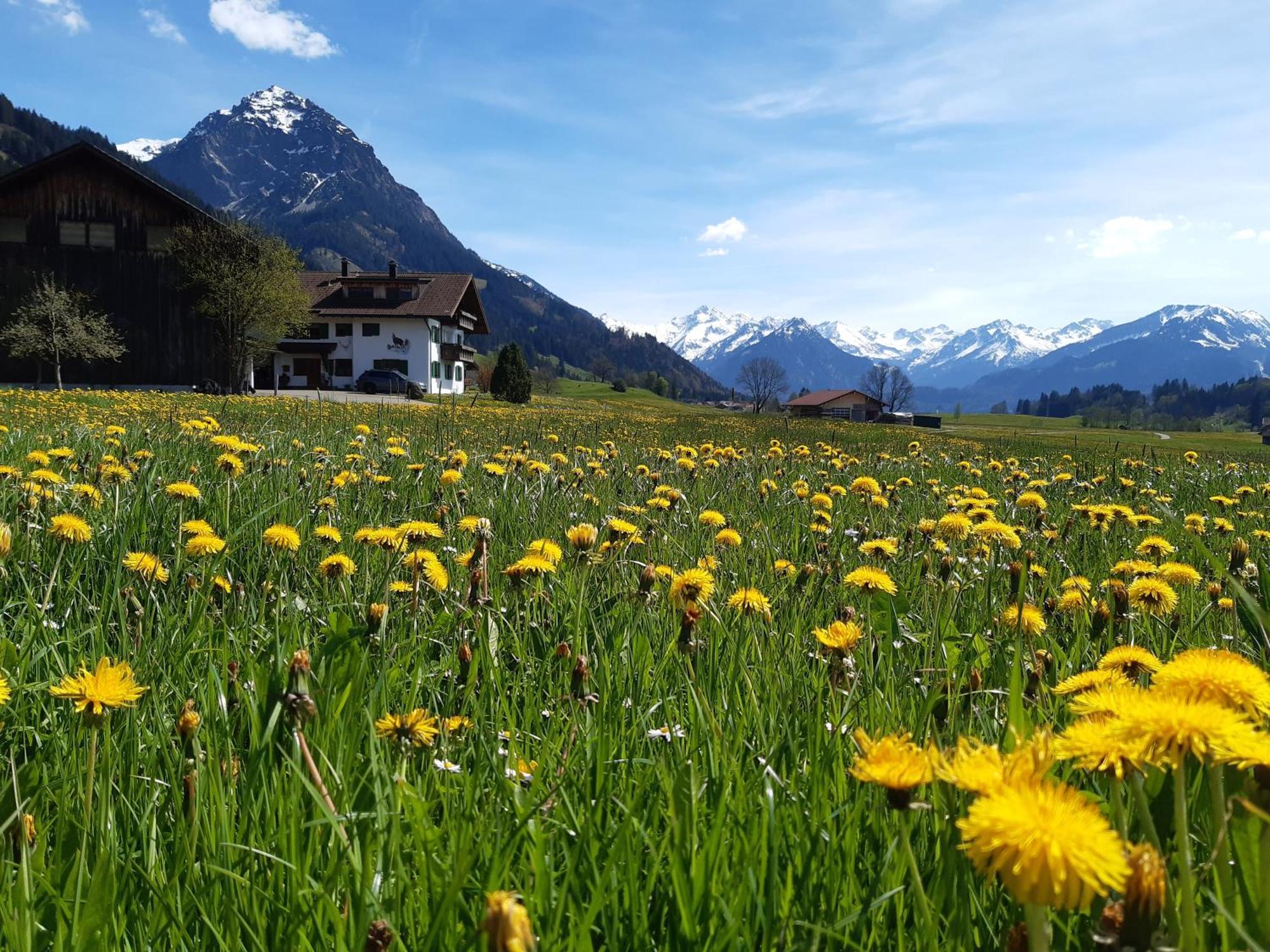 Hemerhof - Ferienwohnungen Oberstdorf Exterior photo